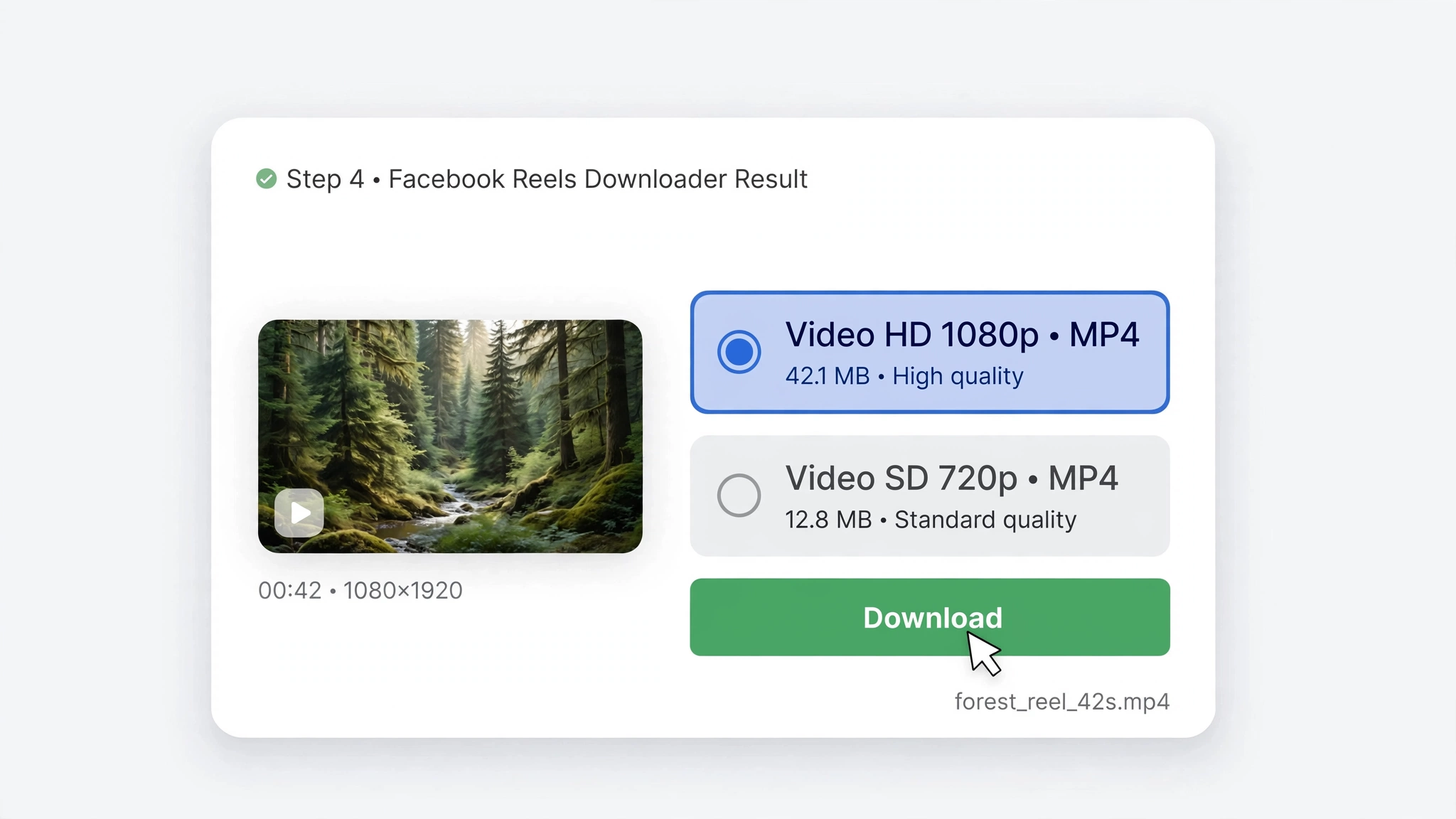 Reviewing the available Facebook Reel download result