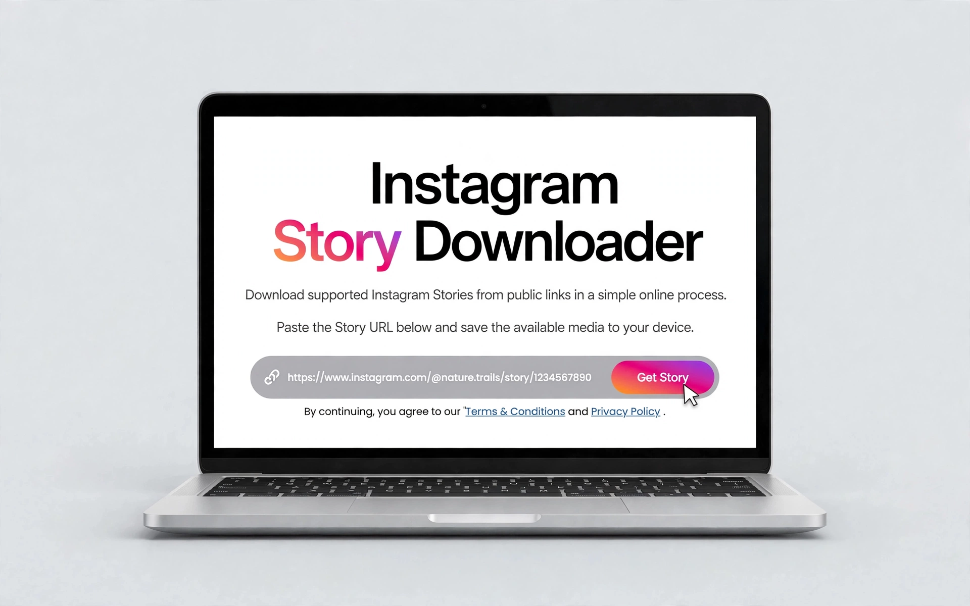 Paste an Instagram Story link into the downloader