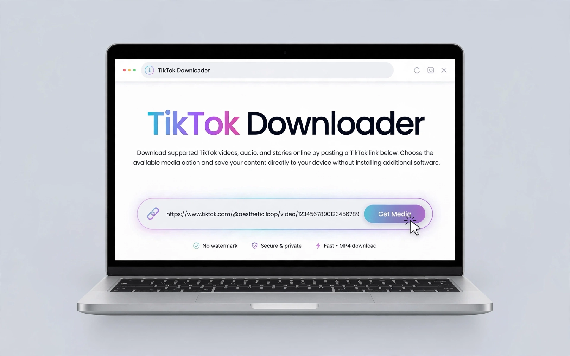 Paste a TikTok URL into the online downloader