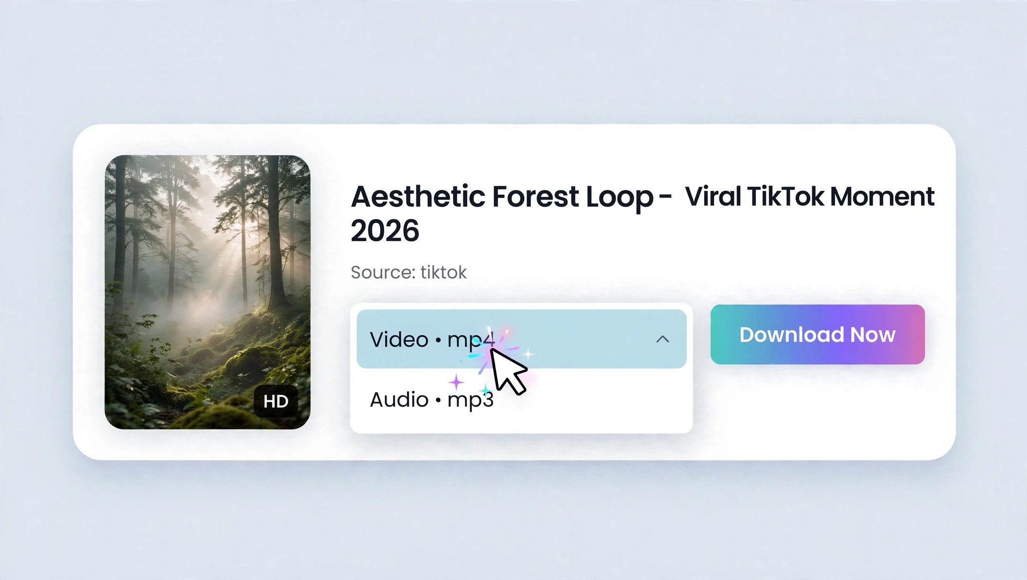 Choose a TikTok video, audio, or story download option