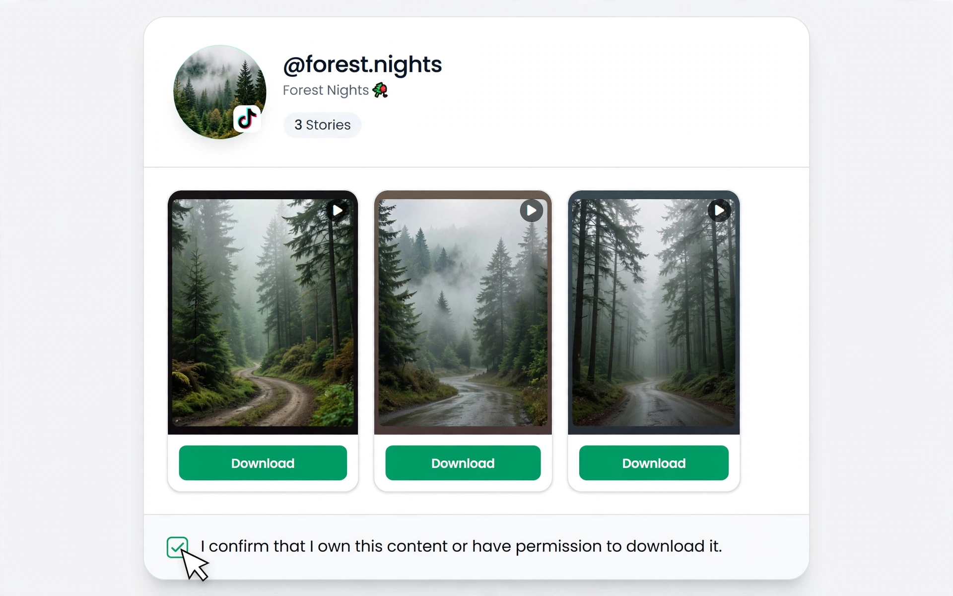 Select a TikTok story and download it