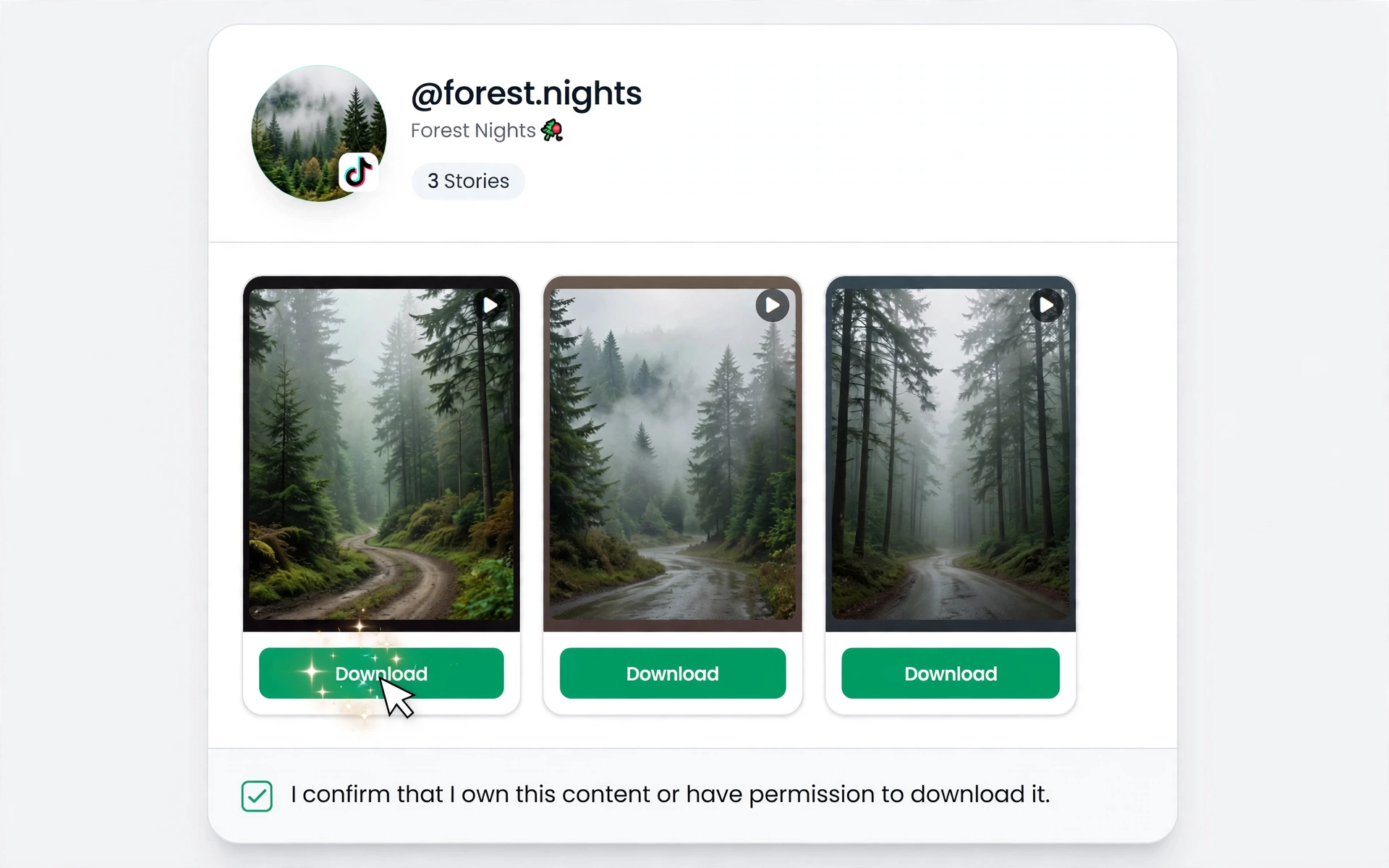 Download TikTok story to your device