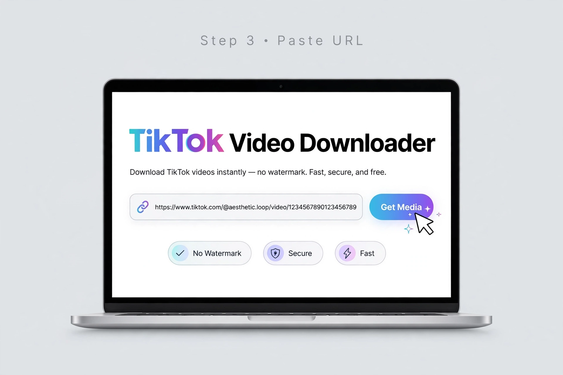 Paste a TikTok video URL into the downloader