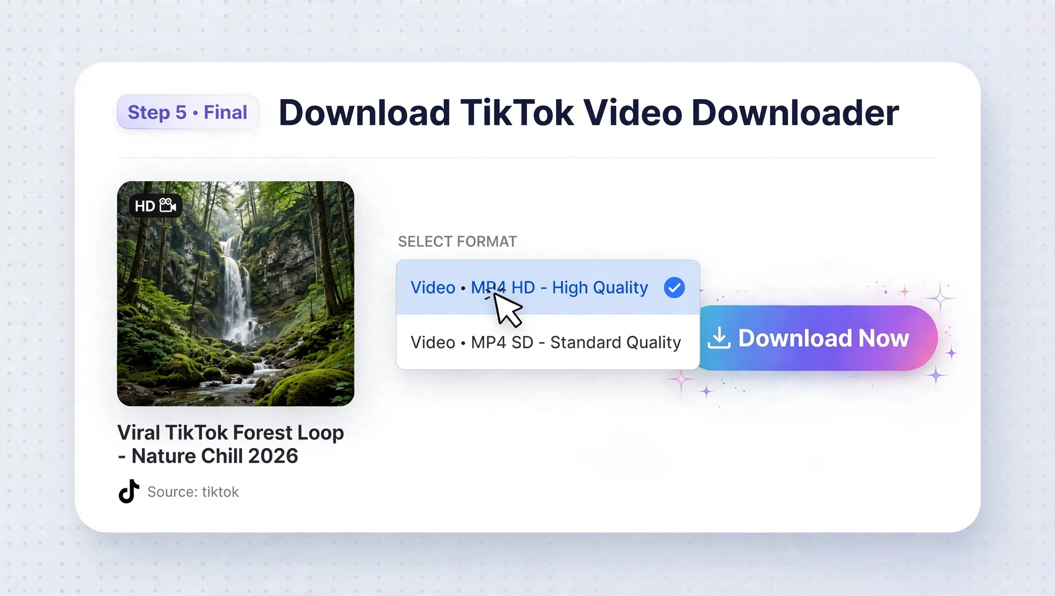 Review available TikTok video download options
