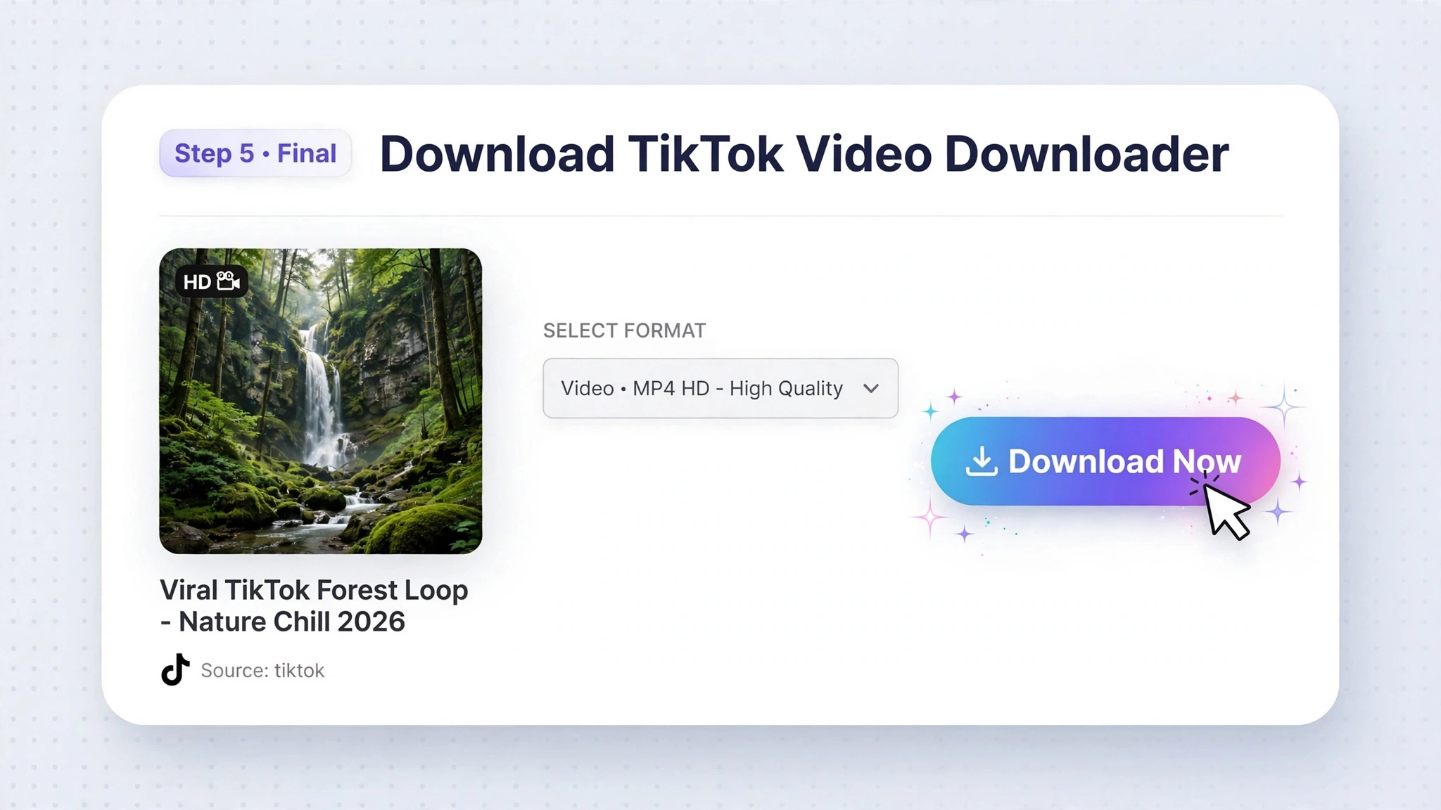 Download and save a TikTok video
